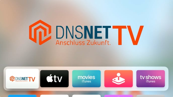 dnsnet_tv_aktivieren_1